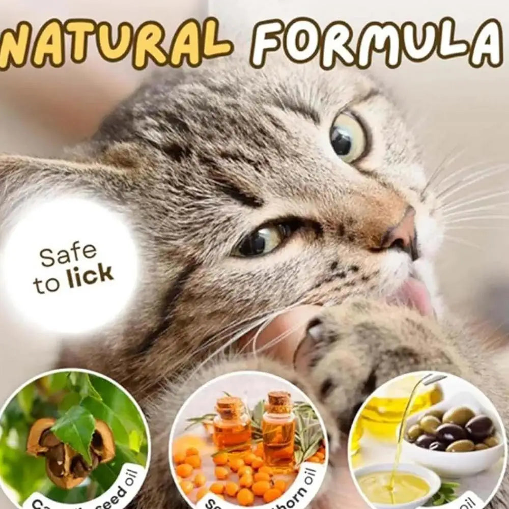 Paw Print Cat Treats - Natural Freeze-Dried Dental Health Snacks