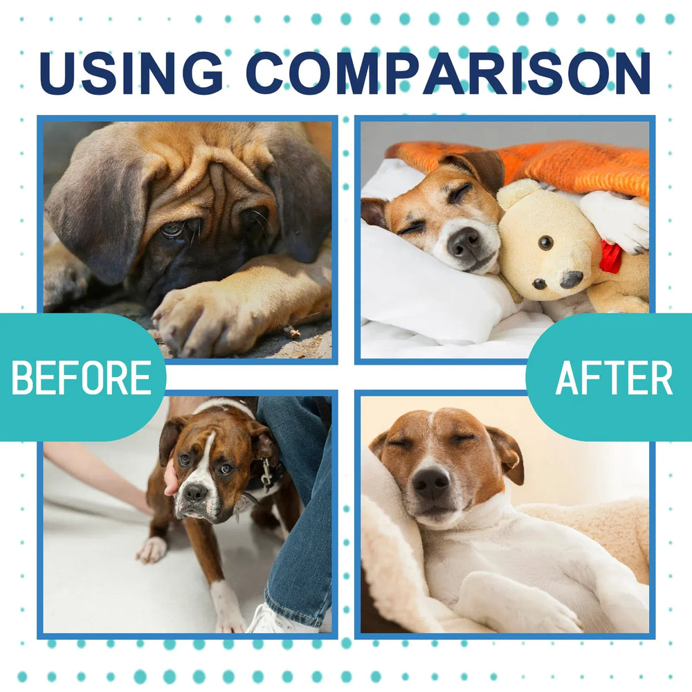 Pet Calming Care Liquid - Natural Anxiety Relief for Cats & Dogs, Stress Reduction Drops for Travel, Storms & Separation Anxiety
