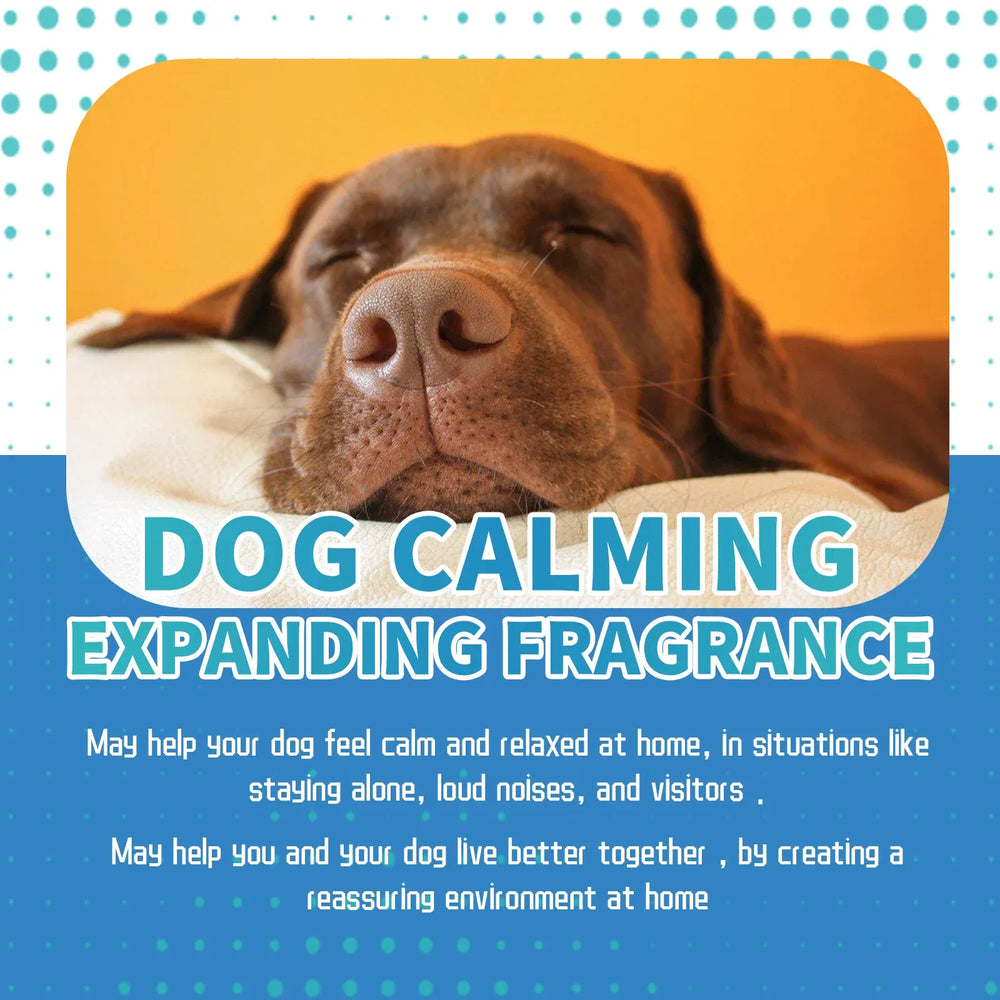 Pet Calming Care Liquid - Natural Anxiety Relief for Cats & Dogs, Stress Reduction Drops for Travel, Storms & Separation Anxiety