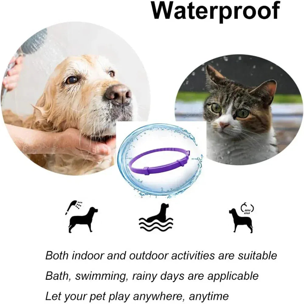 Pet Calming Collar for Cats & Dogs - 2-Month Anxiety Relief with Natural Pheromones, Adjustable Stress Reduction Collar for Thunder, Travel & Separation Anxiety