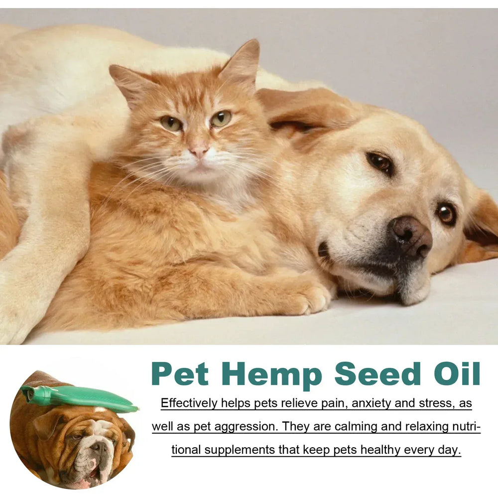 Pet Care Skin Relief Cream for Dogs & Cats | Anti-Itch Soothing Lotion | Dry Skin & Paw Repair Balm | Safe Moisturizer for Pets