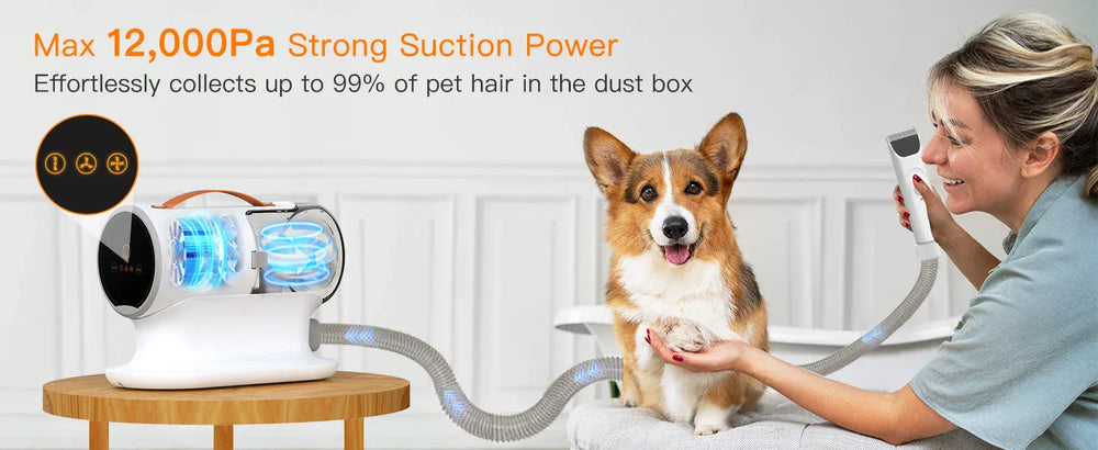 Pet Grooming Vacuum Kit - 12000Pa Dog Hair Vacuum with 5 Tools & 2L Capacity