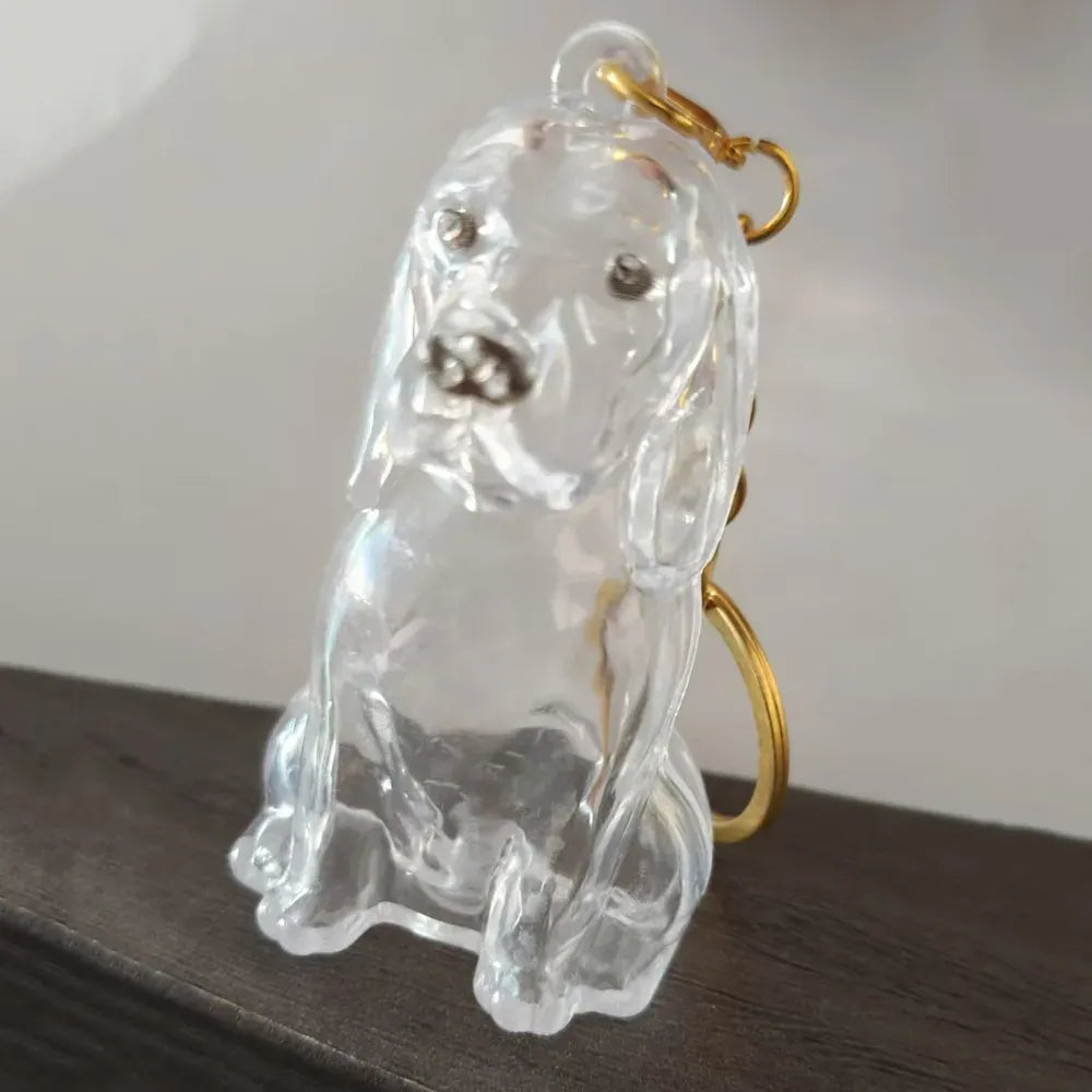 Pet Hair Memorial Keychain - DIY Dog Hair Storage Jewelry Gift