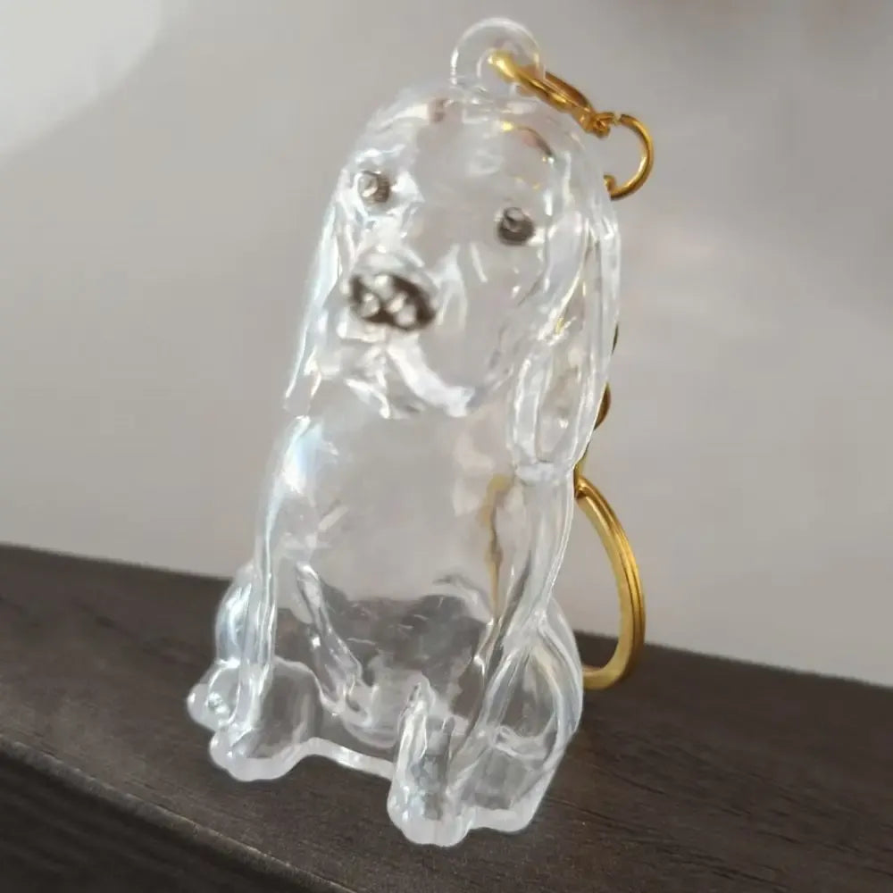 Pet Hair Memorial Keychain - DIY Dog Hair Storage Jewelry Gift