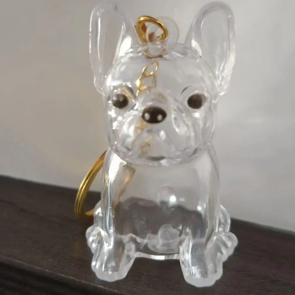 Pet Hair Memorial Keychain - DIY Dog Hair Storage Jewelry Gift