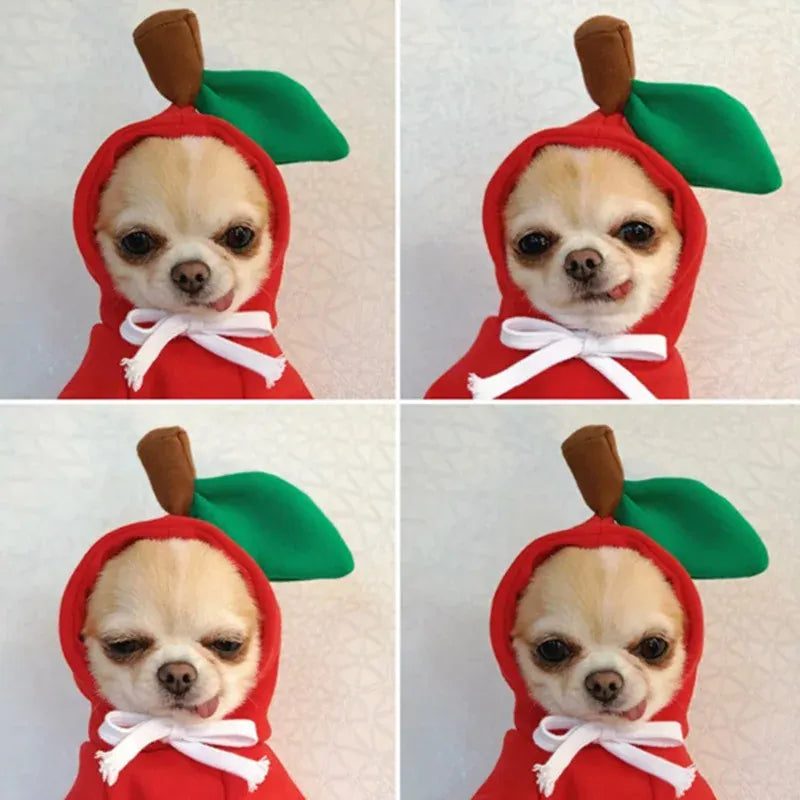 Pet Hoodie Sweater - Winter Pullover with Sports & Animal Designs