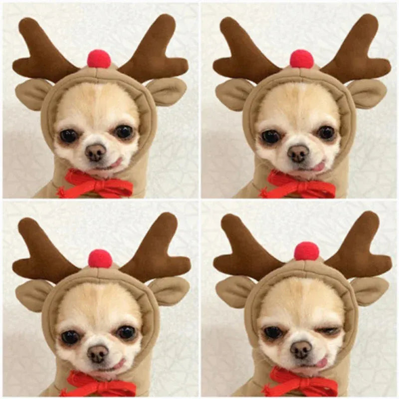 Pet Hoodie Sweater - Winter Pullover with Sports & Animal Designs