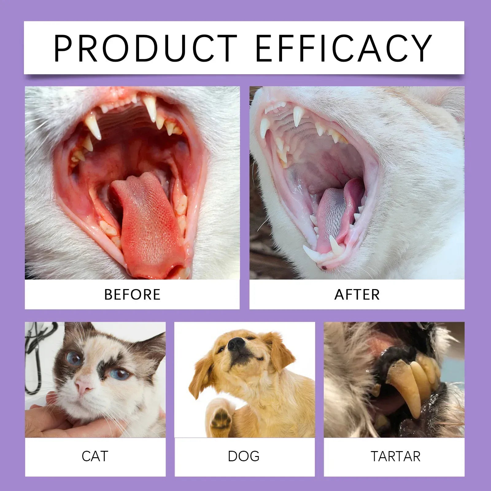 Pet Oral Cleaning Spray for Dogs & Cats - 50ml Teeth Cleaner & Breath Freshener, Dental Care Spray to Remove Plaque & Tartar, Prevent Bad Breath