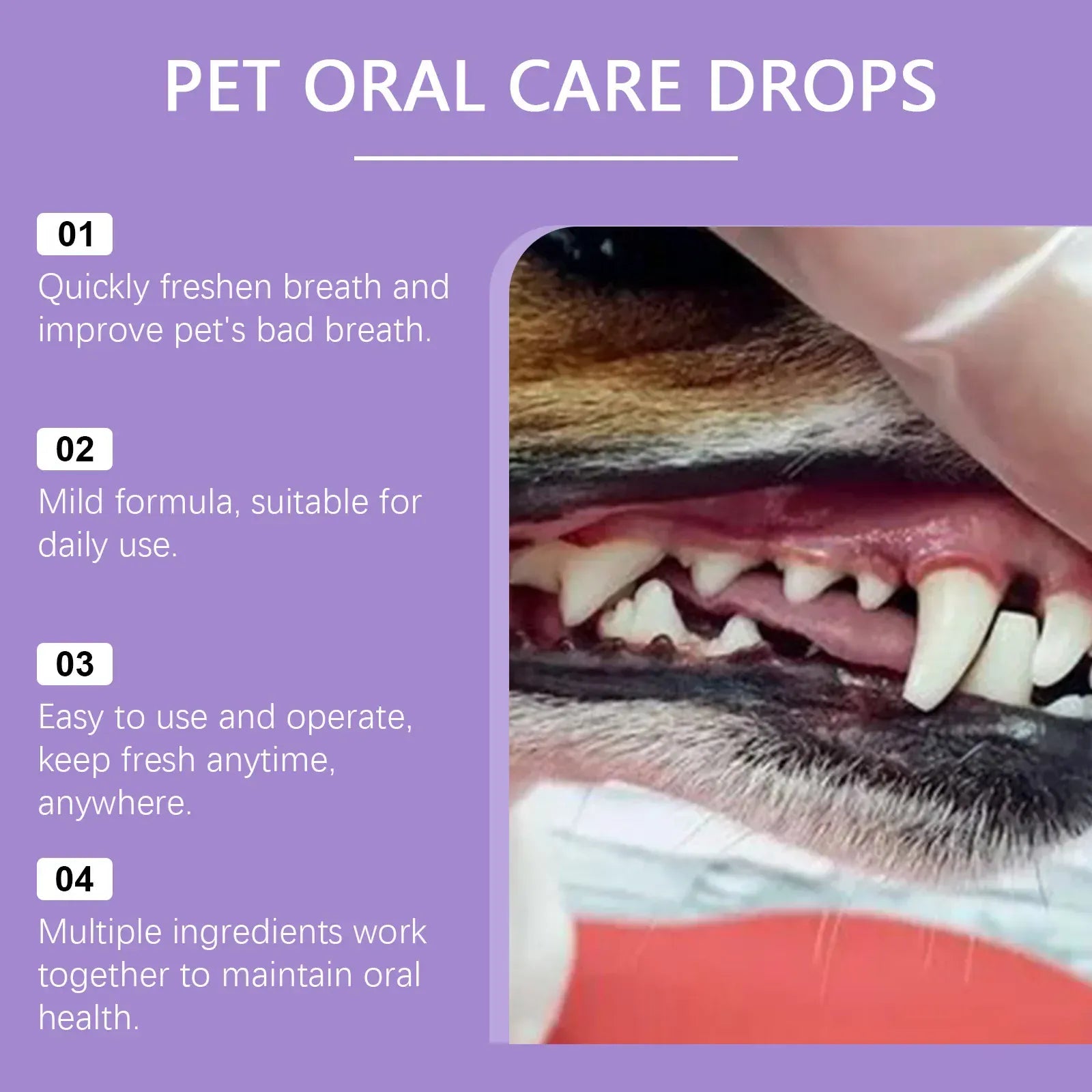Pet Oral Cleaning Spray for Dogs & Cats - 50ml Teeth Cleaner & Breath Freshener, Dental Care Spray to Remove Plaque & Tartar, Prevent Bad Breath