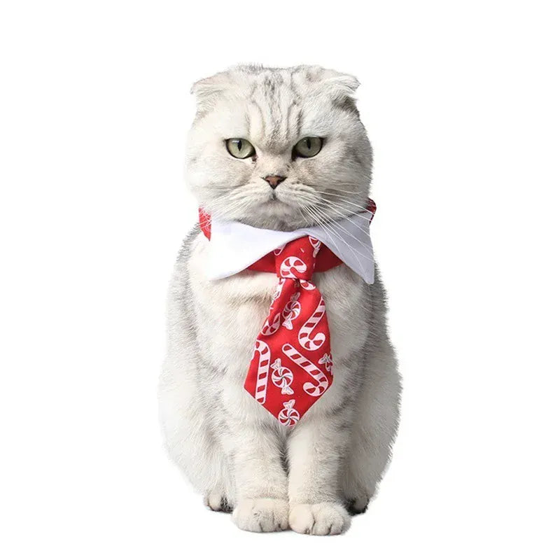 Pet Santa Claus Costume | Funny Christmas Outfit for Dogs & Cats | Warm Winter Cotton Clothes