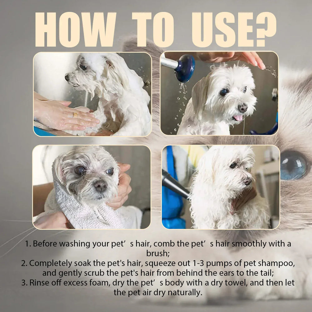 Pet Shampoo for Dogs & Cats - 100ml/300ml Flea Killer & Mite Removal, Deodorizing Itch Relief with Moisturizing Formula, Hair Softening Wash