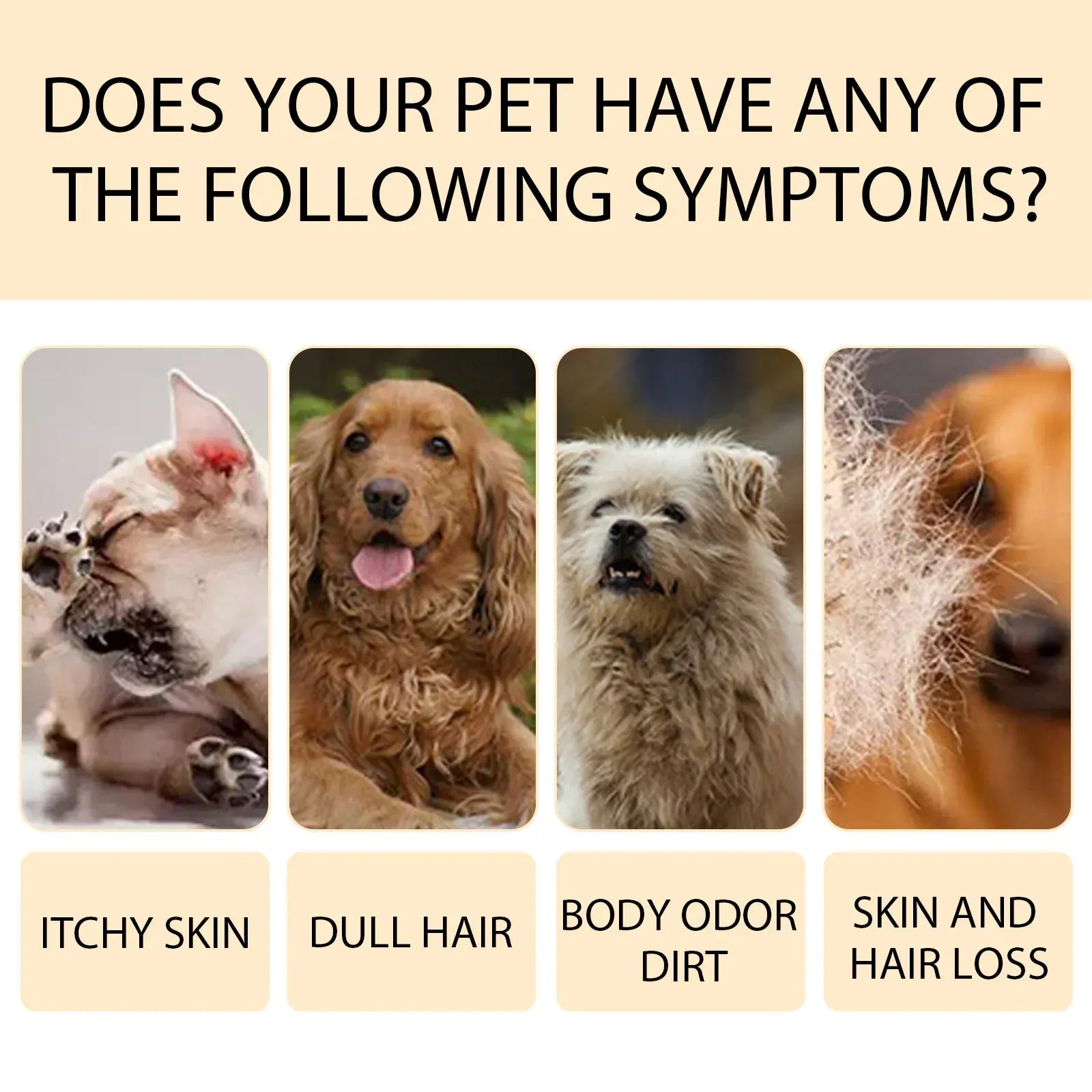 Pet Shampoo for Dogs & Cats - 100ml/300ml Flea Killer & Mite Removal, Deodorizing Itch Relief with Moisturizing Formula, Hair Softening Wash