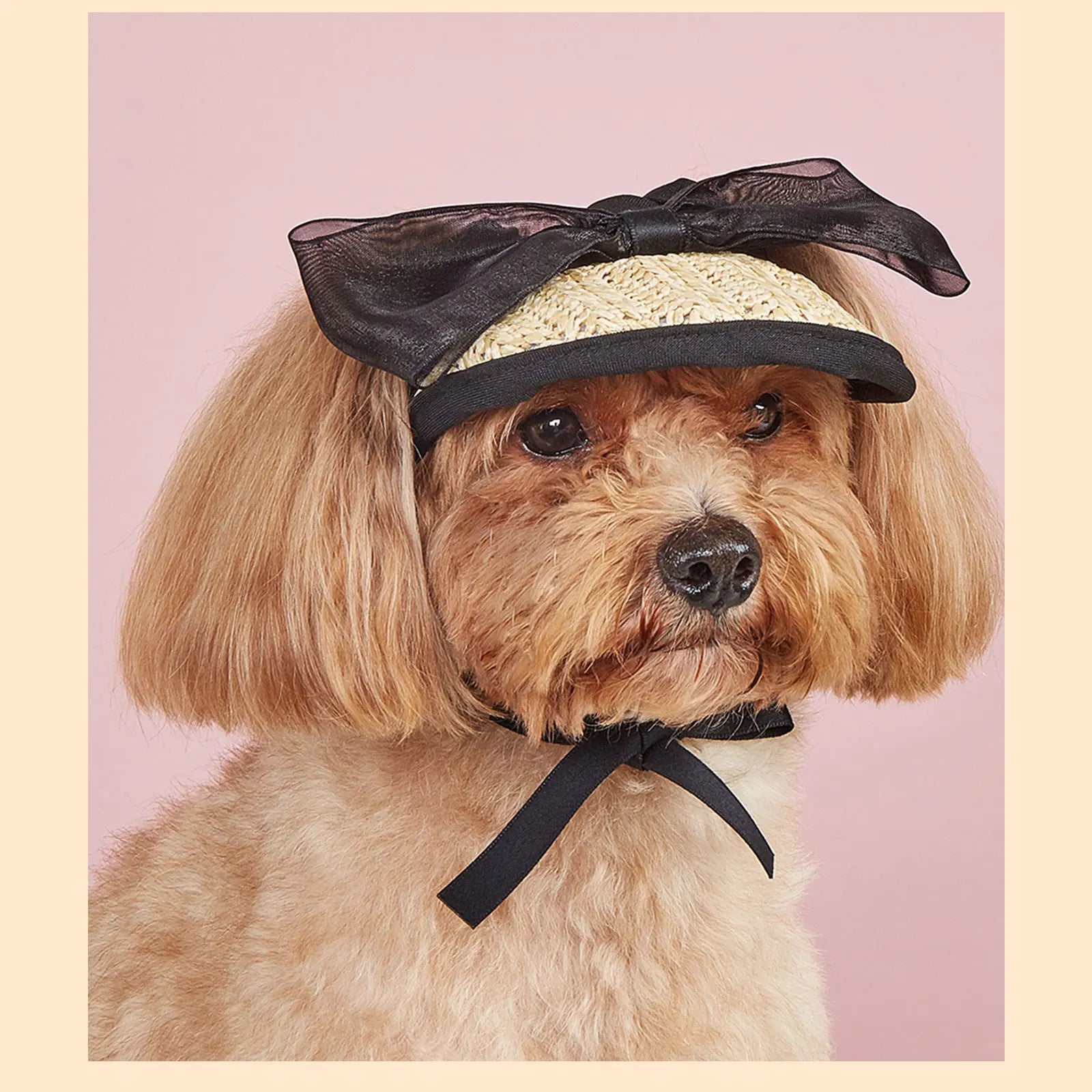 Pet Sun Hat with Bow – Adjustable Summer Sunshade Hat for Dogs & Cats