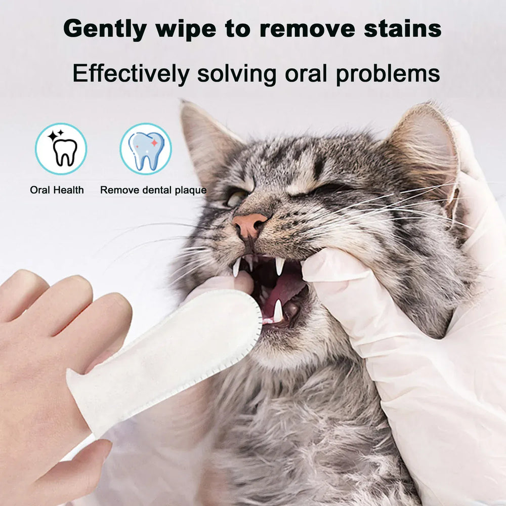 PetPet Teeth Cleaning Finger Wipes – No-Rinse Dental Care for Dogs & Cats | Reduces Plaque & Freshens Breath Teeth Cleaning Dental Finger Wipes for Dogs & Cats, Reduces Plaque & Freshens Breath No-Rinse Dog Teeth Care Finger WipE