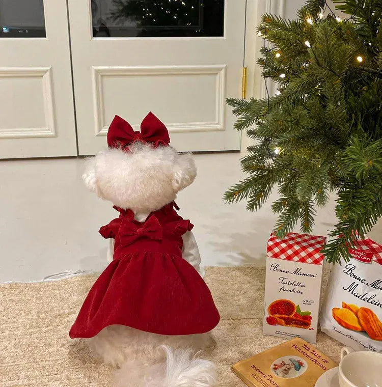 Princess Bow Dress Set - Winter Corduroy Dog Dress with Bow Clip