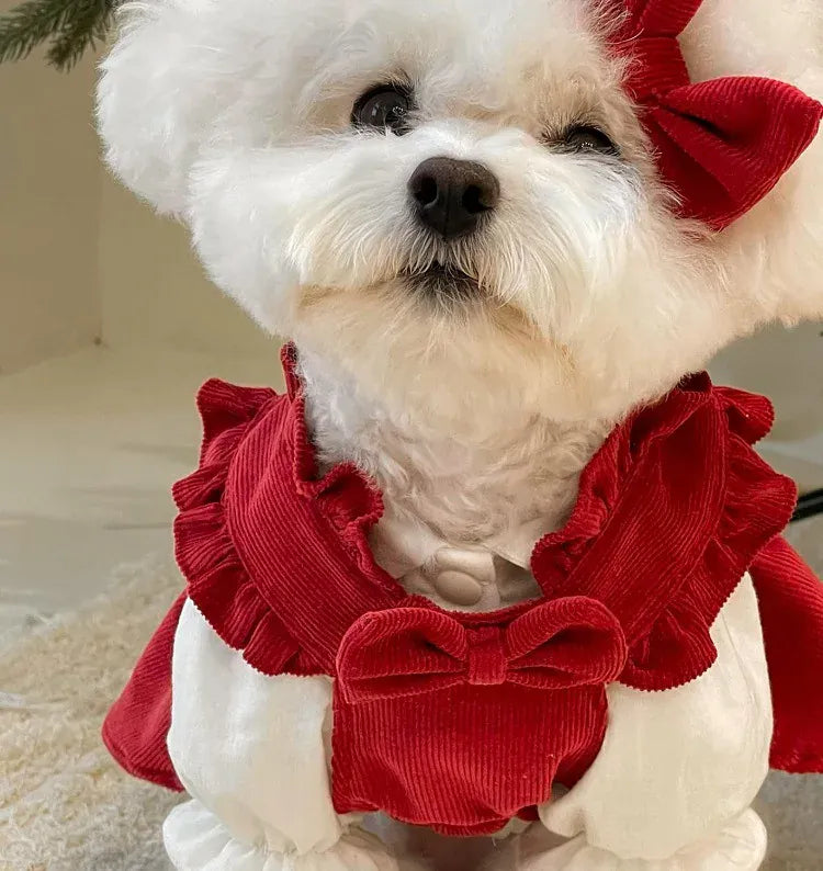 Princess Bow Dress Set - Winter Corduroy Dog Dress with Bow Clip