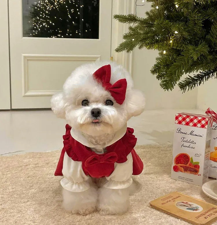 Princess Bow Dress Set - Winter Corduroy Dog Dress with Bow Clip