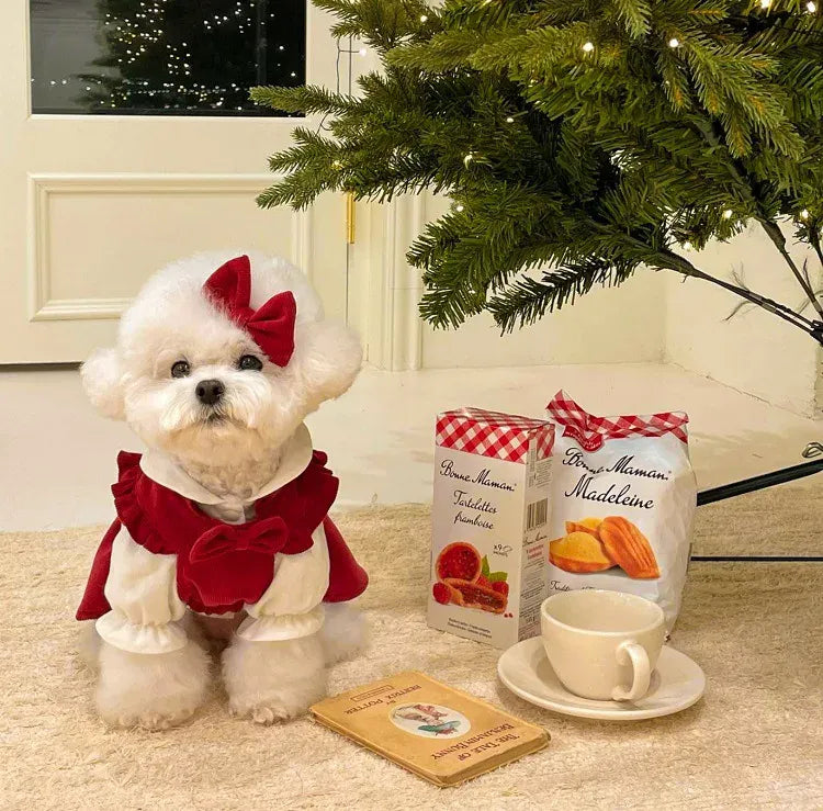 Princess Bow Dress Set - Winter Corduroy Dog Dress with Bow Clip
