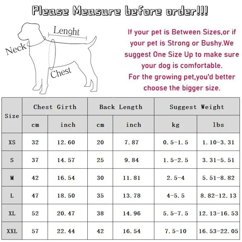 Princess Bow Dress Set - Winter Corduroy Dog Dress with Bow Clip