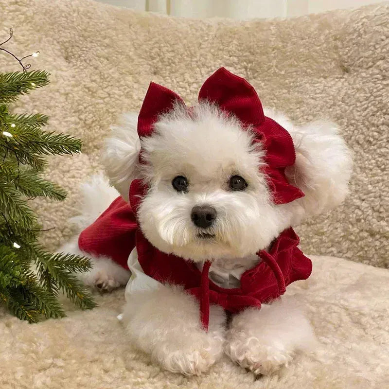 Princess Bow Dress Set - Winter Corduroy Dog Dress with Bow Clip