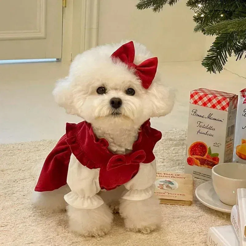 Princess Bow Dress Set - Winter Corduroy Dog Dress with Bow Clip