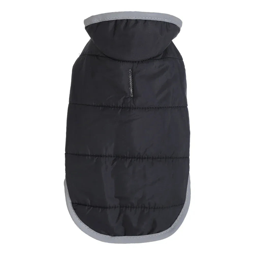 Reflective Pet Clothes | Reversible Kitten Jacket & Winter Fleece Coat | Warm Cat Costume for Small Cats & Sphynx