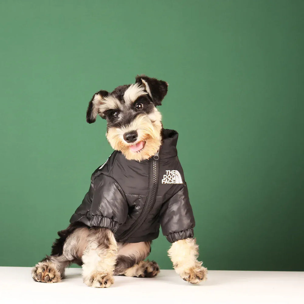 Reflective Winter Dog Jacket | Windproof Warm Coat for French Bulldogs, Chihuahuas & Medium Dogs | Waterproof Pet Outfits