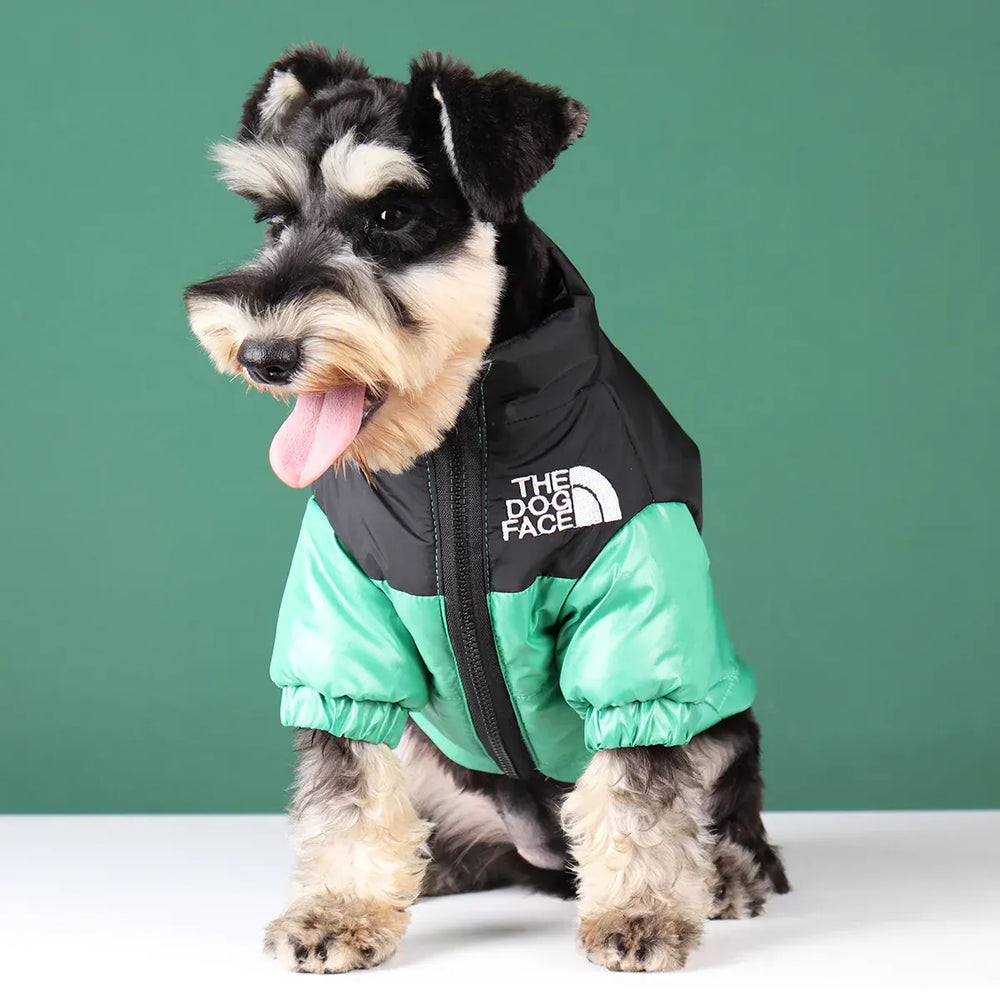 Reflective Winter Dog Jacket | Windproof Warm Coat for French Bulldogs, Chihuahuas & Medium Dogs | Waterproof Pet Outfits