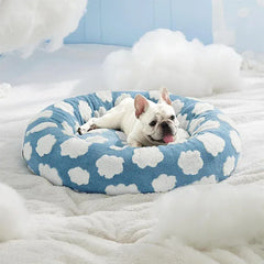 Cute small dog bed with plush sides for comfort
