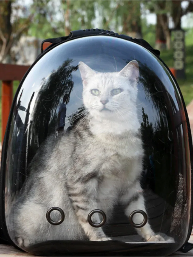 Space Capsule Pet Backpack - Transparent Cat Carrier Bag, Portable Breathable Pet Bubble Backpack for Small Dogs & Cats