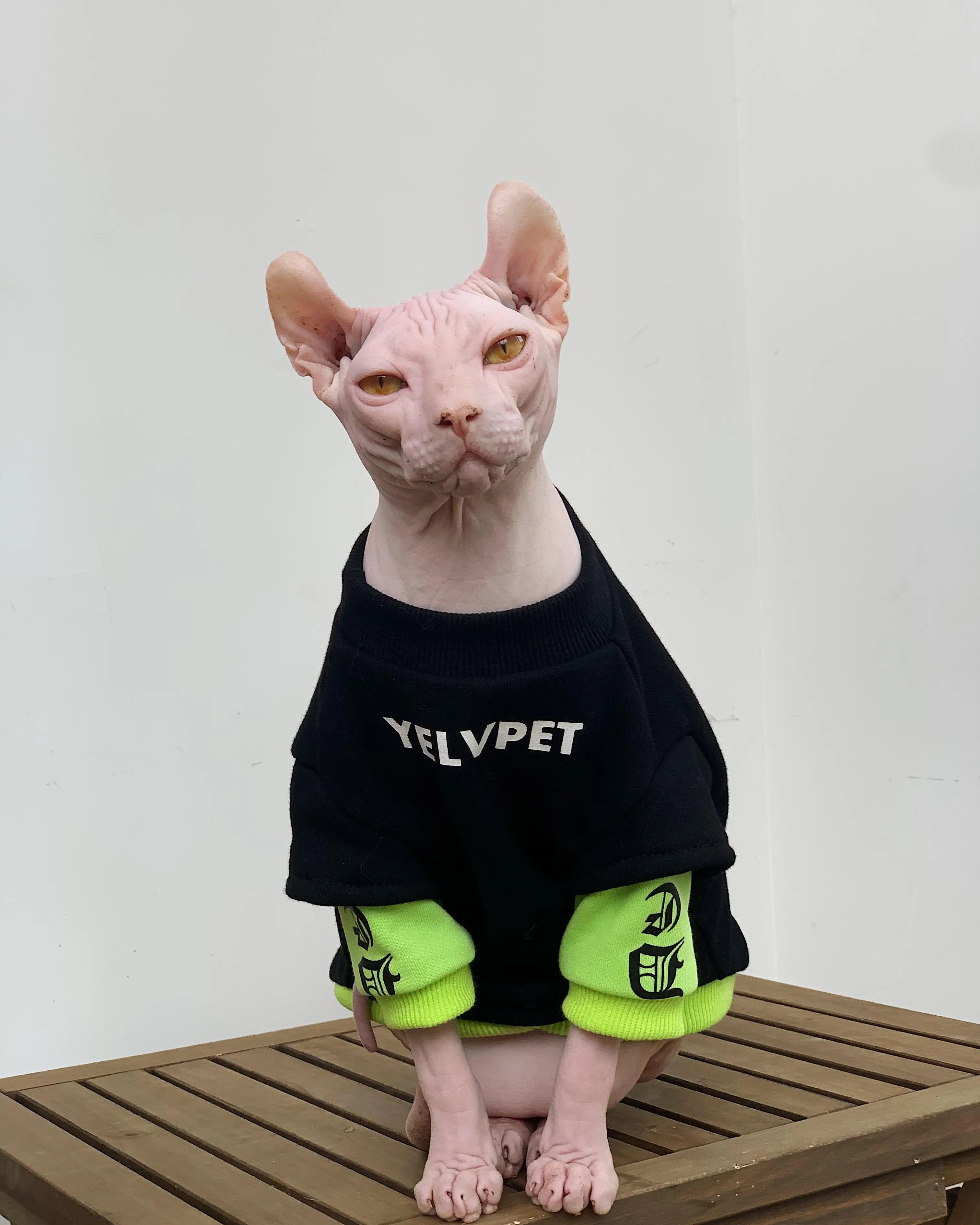 Sphynx Cat Sweatshirt - Long Sleeve Winter Coat for Hairless Cats