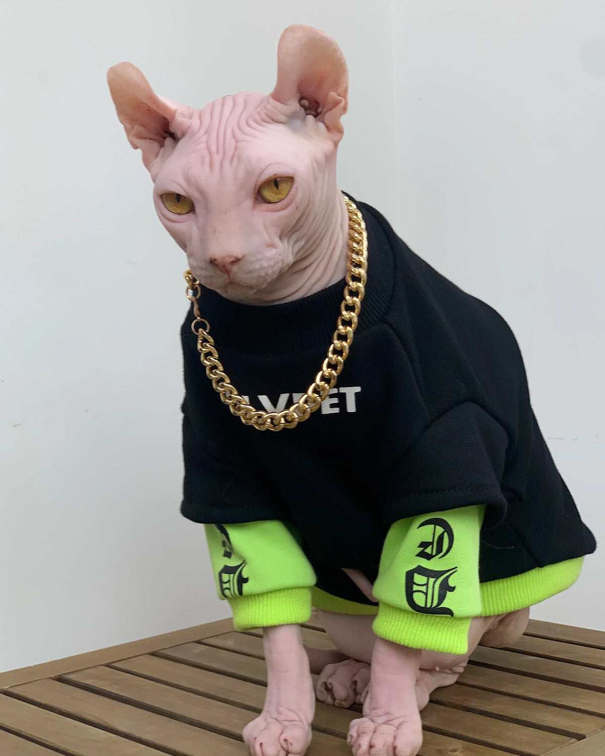 Sphynx Cat Sweatshirt - Long Sleeve Winter Coat for Hairless Cats