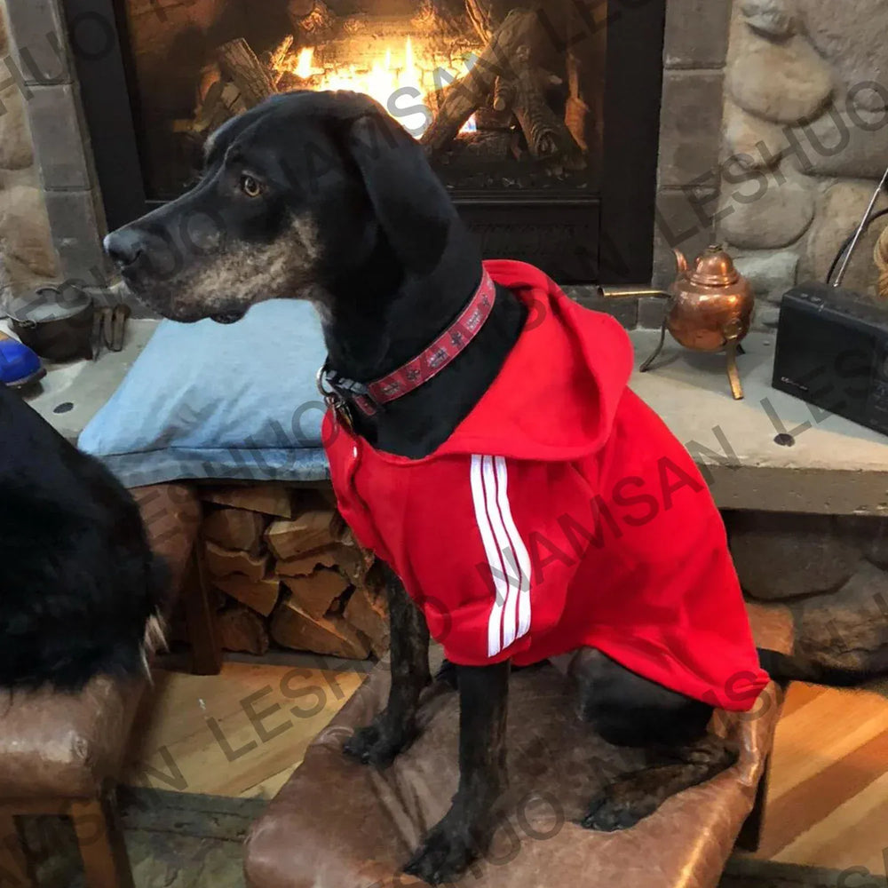 Sports Dog Hoodie - Fashion Striped Hoodie for Medium & Large Dogs