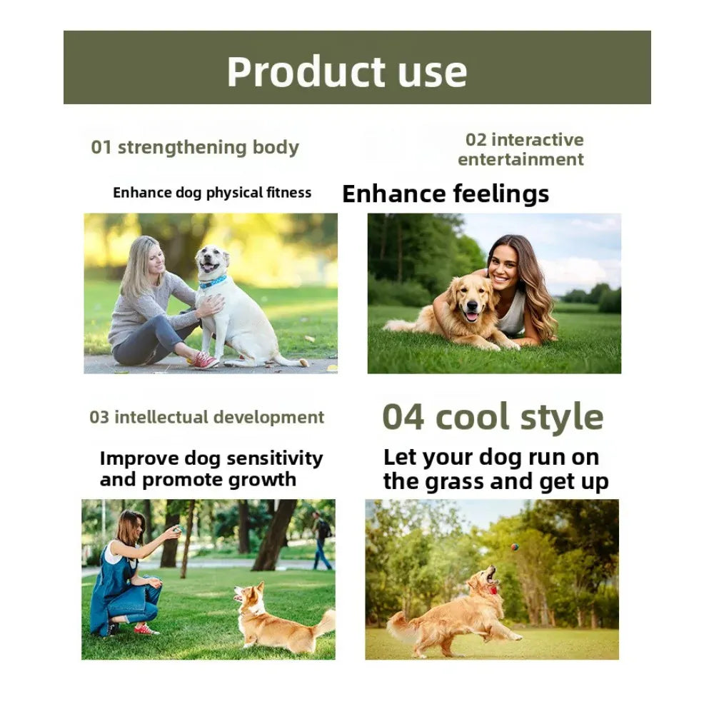 Tennis Ball Launcher for Dogs – Long Distance Throwing Toy for Outdoor Training & Exercise
