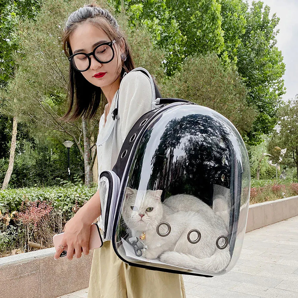 Transparent Cat Carrier Backpack – Bubble Window Pet Travel Bag for Small Dogs & Cats