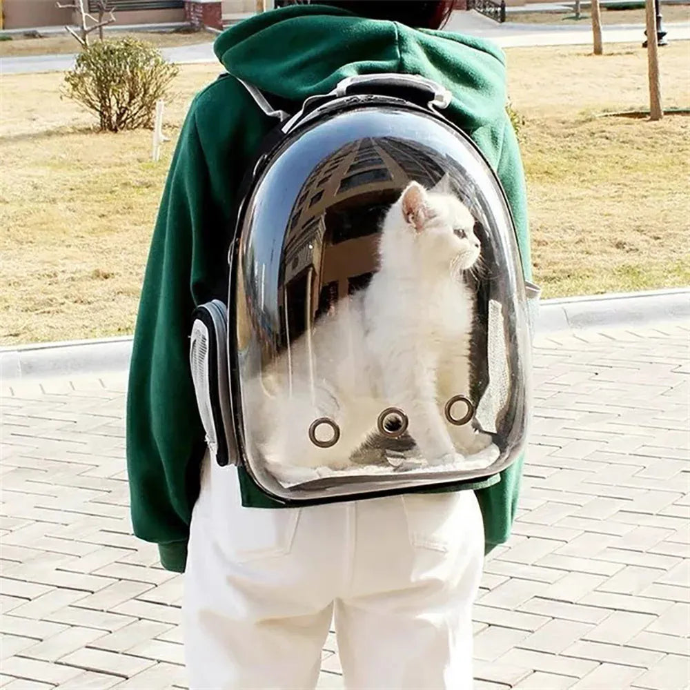 Transparent Cat Carrier Backpack – Bubble Window Pet Travel Bag for Small Dogs & Cats