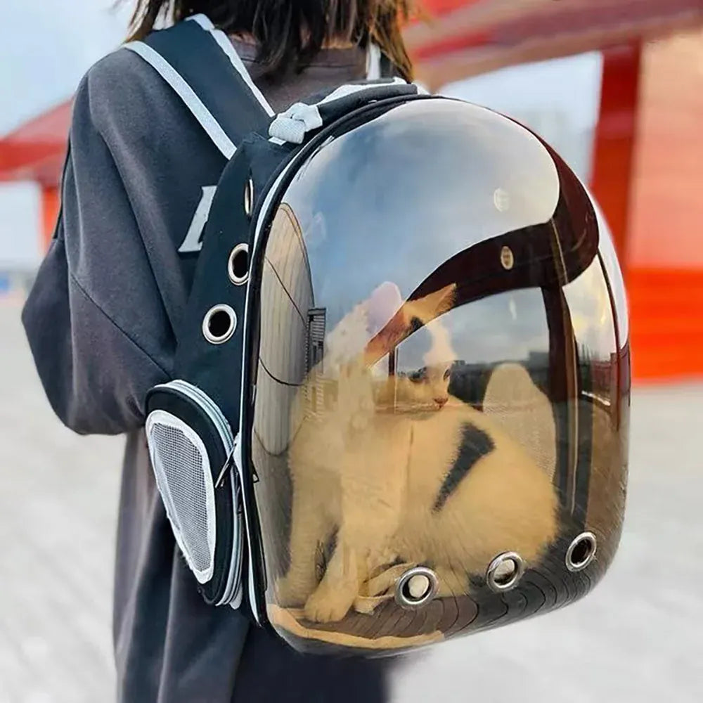 Transparent Cat Carrier Backpack – Bubble Window Pet Travel Bag for Small Dogs & Cats