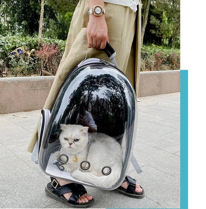 Transparent Cat Carrier Backpack – Bubble Window Pet Travel Bag for Small Dogs & Cats