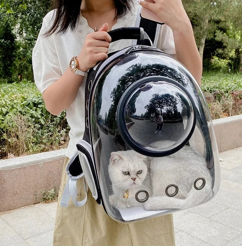 Transparent Cat Carrier Backpack – Bubble Window Pet Travel Bag for Small Dogs & Cats