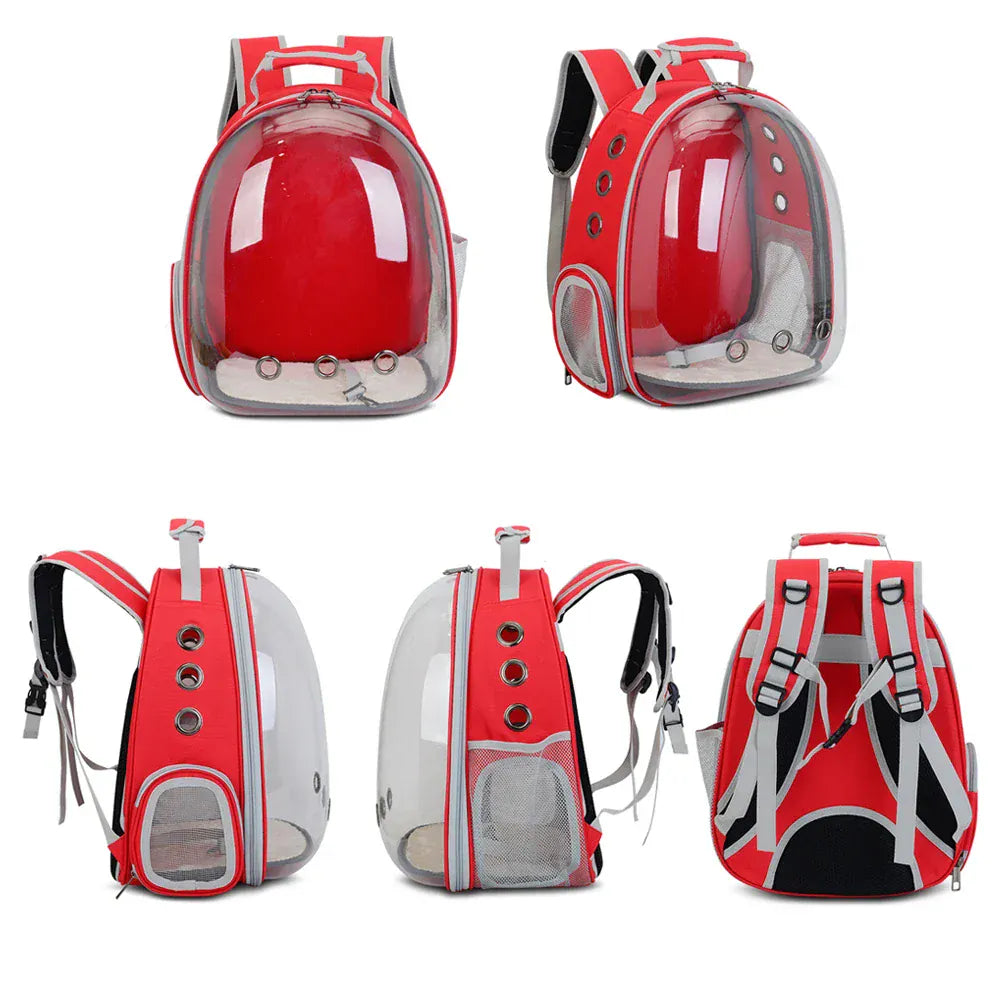 Transparent Cat Carrier Backpack – Bubble Window Pet Travel Bag for Small Dogs & Cats