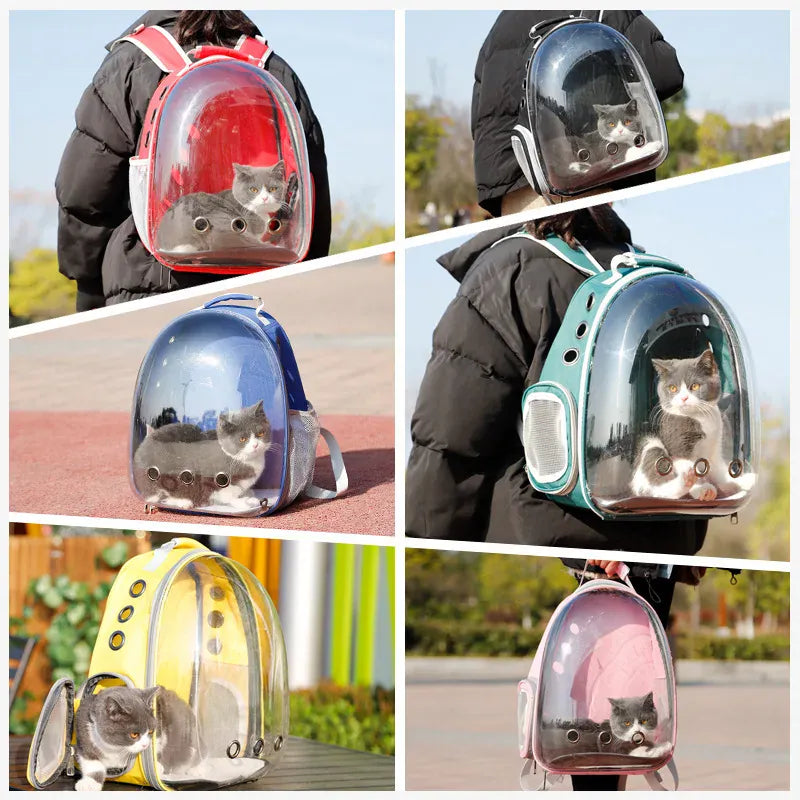 Transparent Cat Carrier Backpack – Bubble Window Pet Travel Bag for Small Dogs & Cats