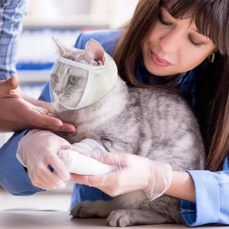 Transparent Cat Muzzle - Breathable Anti-Bite Mask for Safe Grooming & Handling