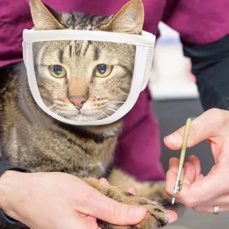 Transparent Cat Muzzle - Breathable Anti-Bite Mask for Safe Grooming & Handling