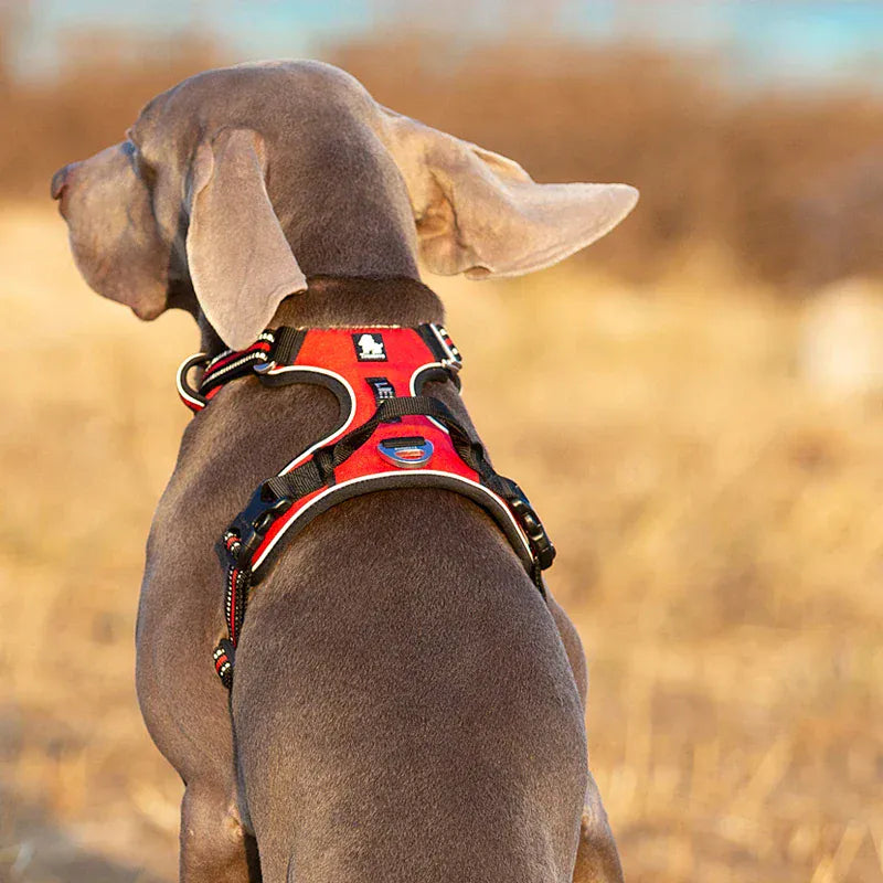 Truelove No-Pull Dog Harness - Reflective Safety Vest with 4 Adjustment Points