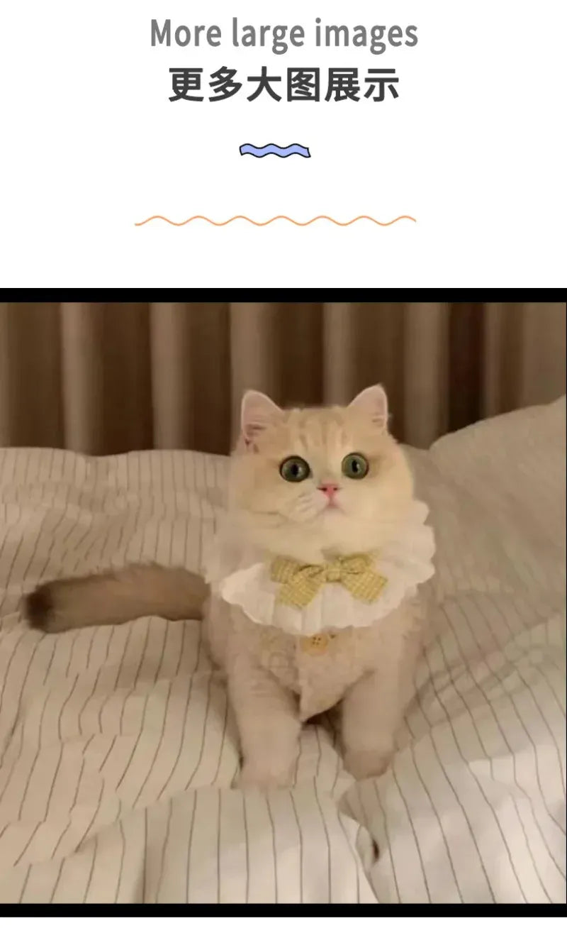 Warm Lambhair Fleece Cat Clothes | Soft Cozy Winter Vest for Cats & Puppies | Kitten Jacket Coat | Pet Sphynx Costume Sweater 고양이