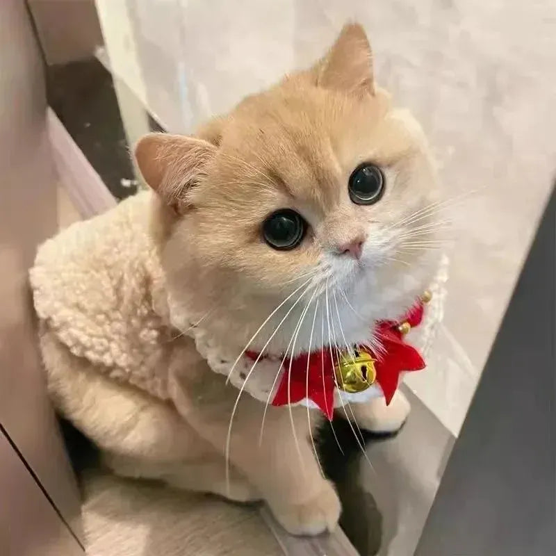 Warm Lambhair Fleece Cat Clothes | Soft Cozy Winter Vest for Cats & Puppies | Kitten Jacket Coat | Pet Sphynx Costume Sweater 고양이