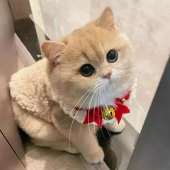 Warm Lambhair Fleece Cat Clothes | Soft Cozy Winter Vest for Cats & Puppies | Kitten Jacket Coat | Pet Sphynx Costume Sweater 고양이