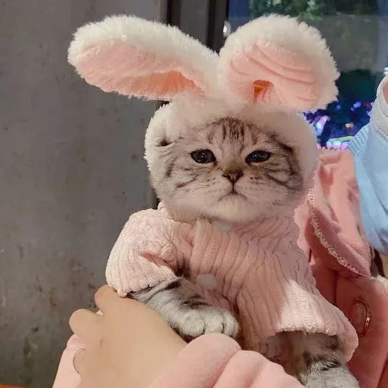Warm Winter Bunny Cat Clothes | Cute Kitten Coat for Cats & Puppies | Soft Fleece Pet Outfit for Small Pets