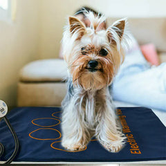 Heated dog pad providing warmth and joint relief for senior dog
