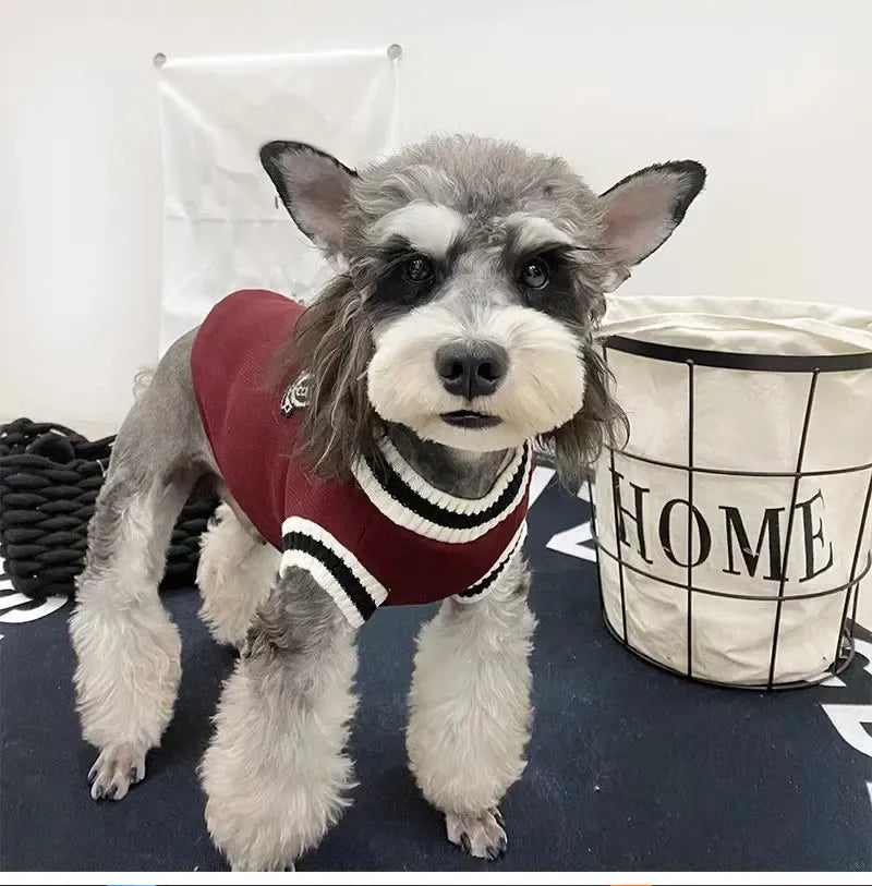 Winter Dog Sweater | College Style V-neck Knitwear for Small Dogs & Puppies – Cozy Puppy Vest & Kitty Jacket